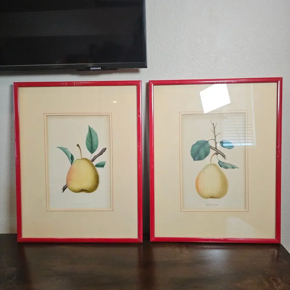 Vintage Botanical Pear Fruit Print Art